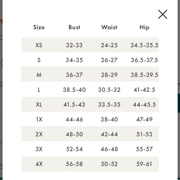 ModCloth Scholastic Vintage style mini dress plus size 2x - Picture 4 of 4